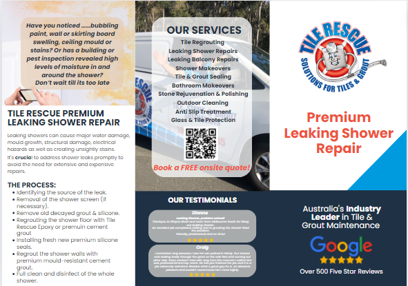 Premium Leaking Shower Repair Service Brochure Packs of 20